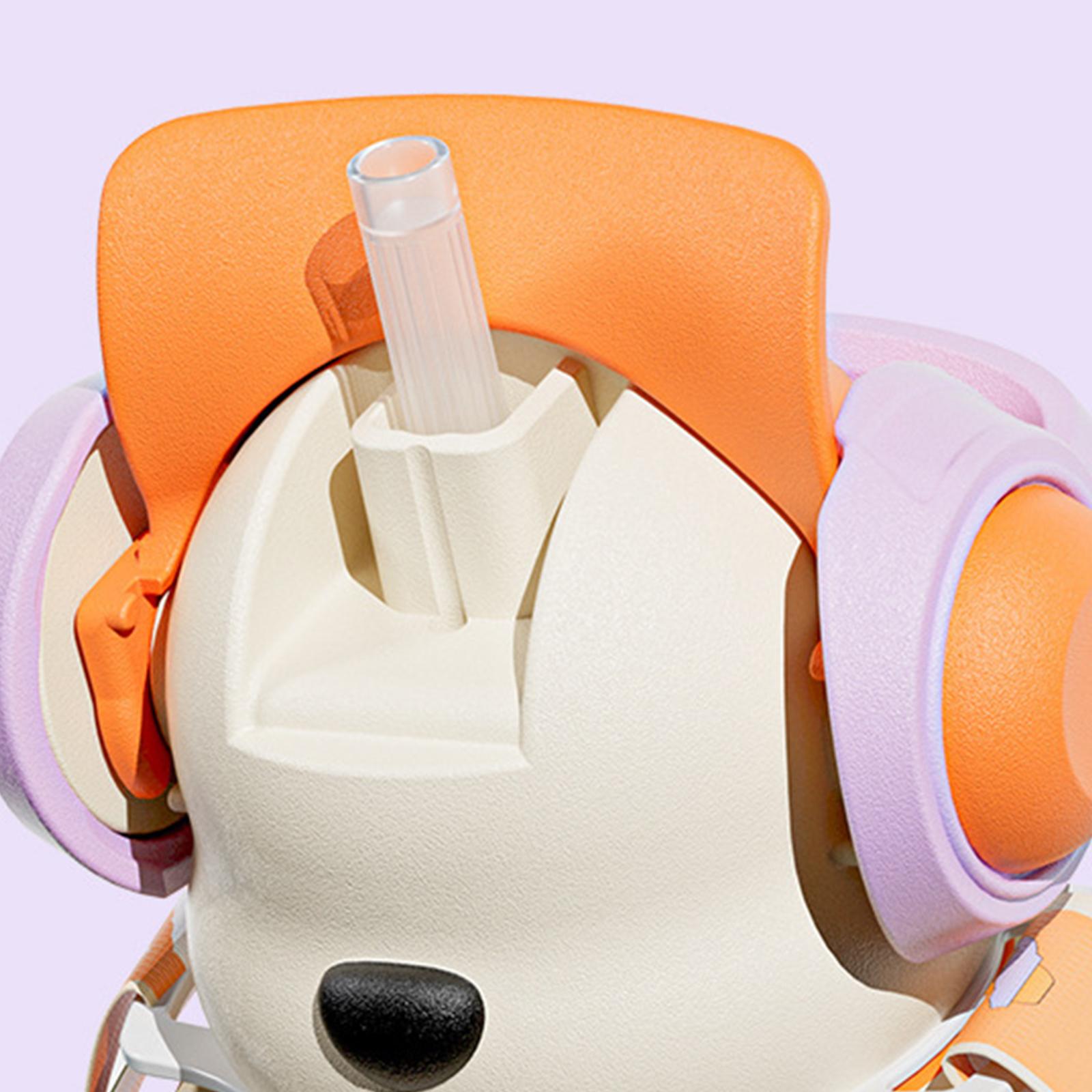 زجاجة مياه لطيفة سعة 22 أونصة، - مراجعة Outdoor Camping Water Jug وسعره