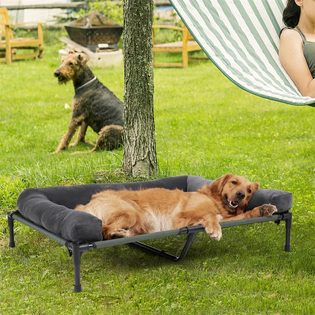 سرير كلاب خارجي مرتفع من BINGO - مراجعة Outdoor Camping Cot وسعره