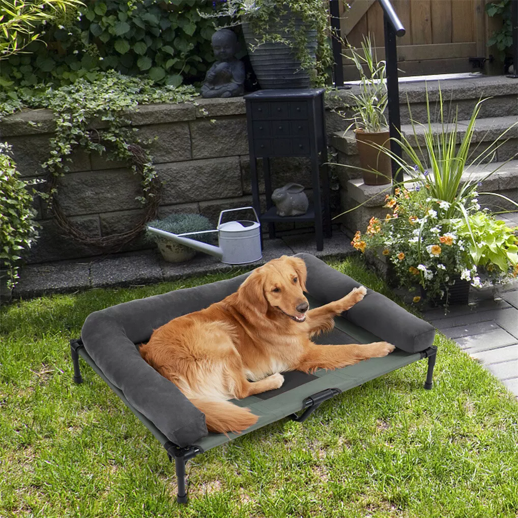 سرير كلاب خارجي مرتفع من BINGO - مراجعة Outdoor Camping Cot وسعره